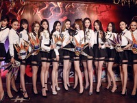 Ů�����ۻ᳤������ ����׶����ɵɵ�ֲ���